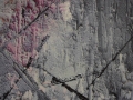 Compositie 67