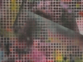 Compositie #69 (SOLD)