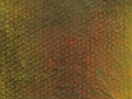 Warp